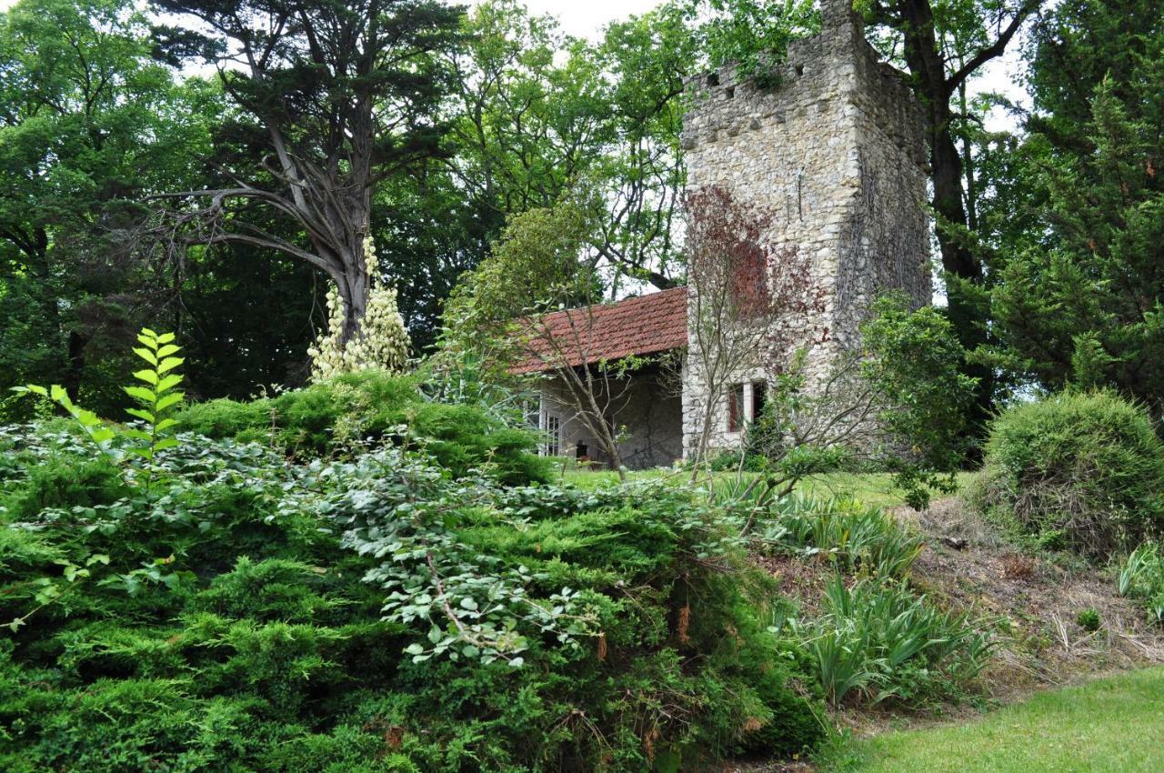 فيلا Chateau Logis De Roche Clairac  المظهر الخارجي الصورة