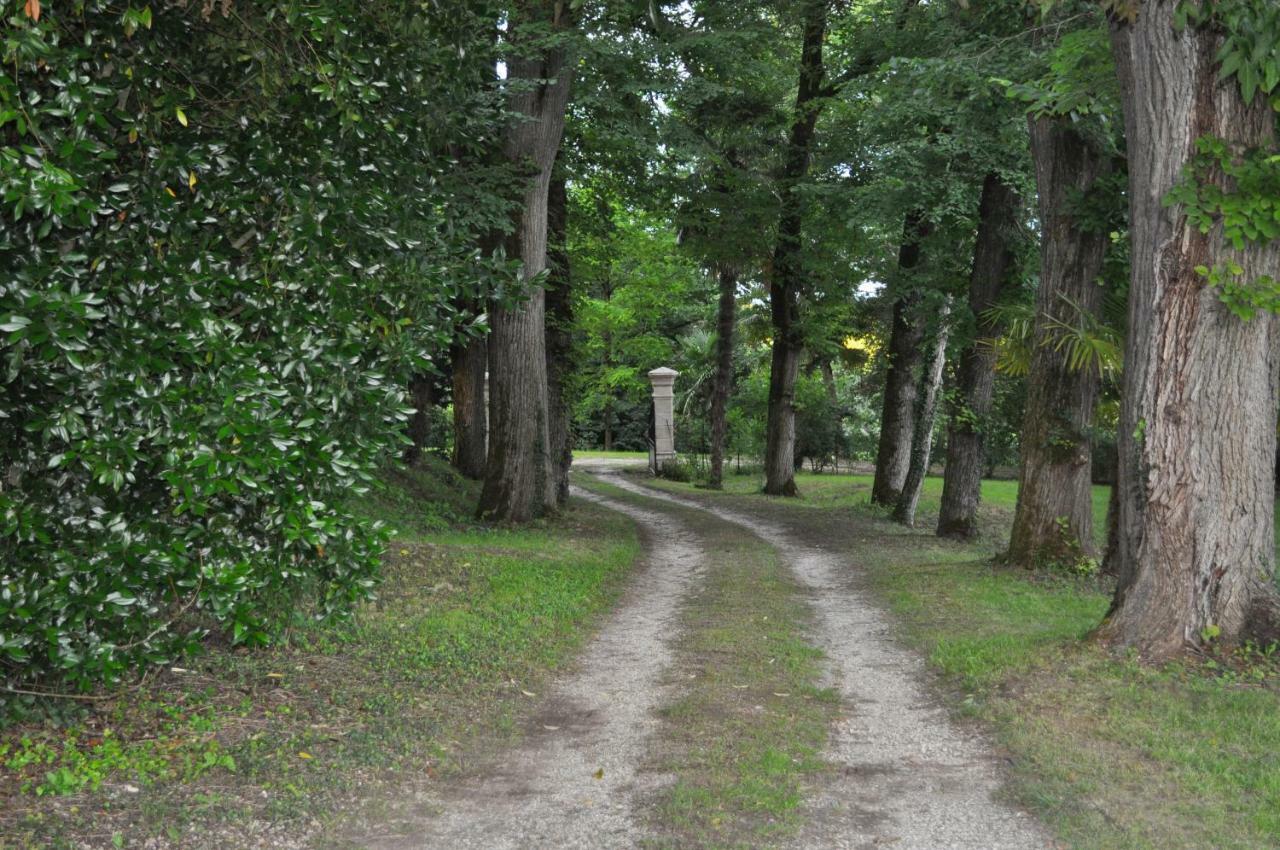 فيلا Chateau Logis De Roche Clairac  المظهر الخارجي الصورة